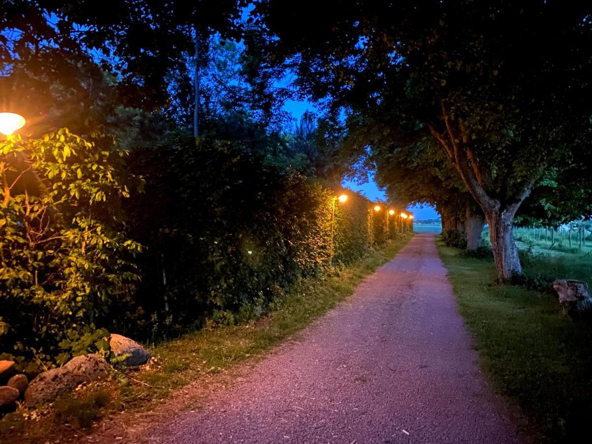 Villa Gladeholm Kivik Esterno foto